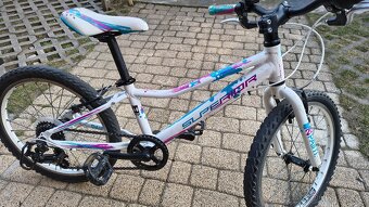 Dětské kolo Superior PAINT 20 - 4