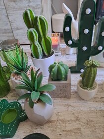 Dekorace a umělé kaktusy a jine - 4