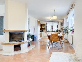 Pronájem bytu 5+kk 190 m² + garáž - 4