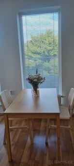 Prodám jídelní stůl a židle IKEA VOXLÖV - 4