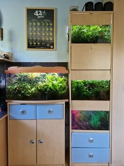 Čerstvé akvarijní rostliny - 4