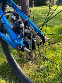 Ctm dirtking - 4