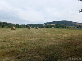 Prodej zemědělské usedlosti 305 m², pozemek 21 000 m² - 4
