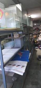 Odchovna akvarijnich ryb - 4