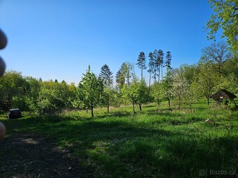 Prodej zahrady 3670m2 nedaleko Litoměřic - 4