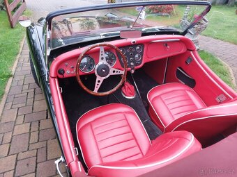 Triumph TR3 A - 4