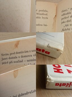 Holky z internátu - Příjezd, Večírek, Únos - Enid Blytonová - 4