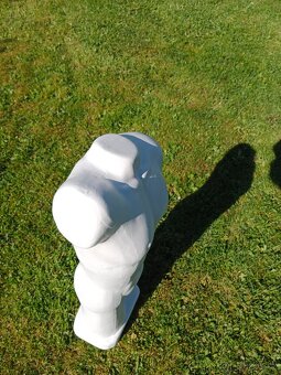 Torzo mužského těla 50 cm - 4