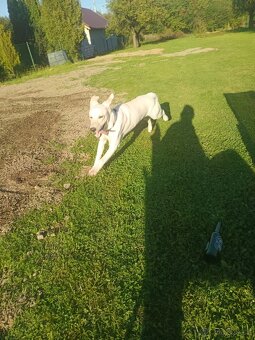 Daruji do drobných rukou - 4