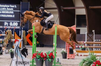 Rajtky Equestrian Stockholm - 4