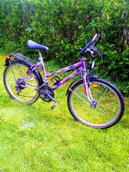 Frera 24" - 4