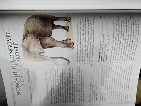 krásná obrazová Encyklopedie 2000 zvířat - 4