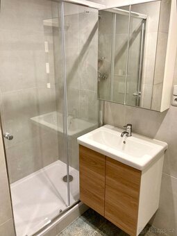 Pronajmu 2 + kk v Lounech - 4