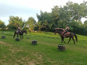 Koňský tábor , tábor s konmi, koně, jezdecký pobyt - 4