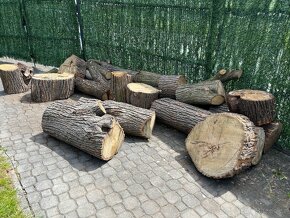 Dřevo z lípy - 4