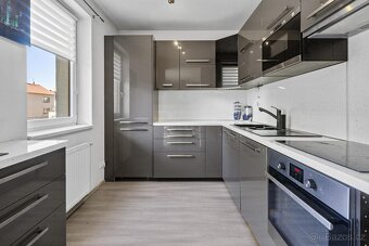 Prodej bytu 2+kk, 74 m2, Plzeň, ul. U Velkého rybníka - 4