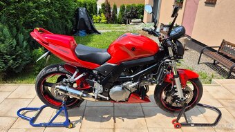 Suzuki SV 1000 - 4