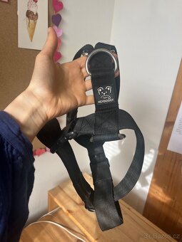 postroj na stredniho psa - 4