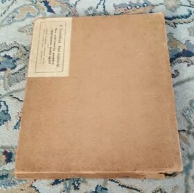 Rudolf Těsnohlídek: Nové království - 4