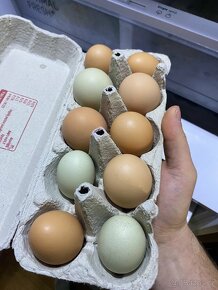 Domácí vajíčka - 4