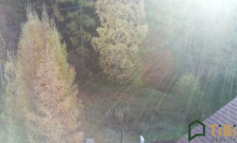 Prodej, Pozemky pro bydlení, 1.753 m² - Gruna - Žipotín - 4