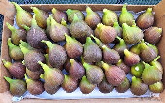 Domácí fíková marmeláda 265 ml - 4