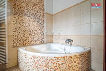Prodej rodinného domu, 580 m², Povrly, ul. Český Bukov - 4