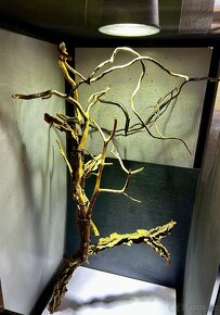 TERÁRIUM - FLEXARIUM - 4
