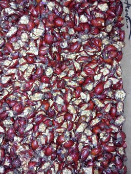 Kvalitní Sušené půlené šípky 🌹 - 4