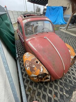 VW Brouk 61 - Faltdach - 4