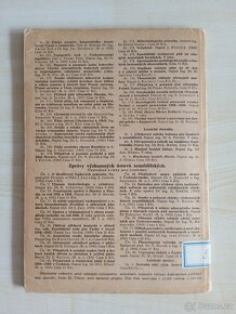 Výstavba anglického polokrevného kmene Furioso - 4