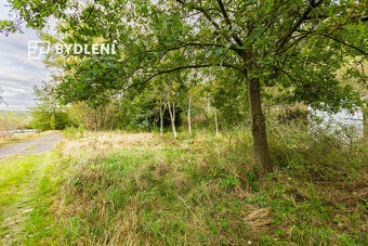 Prodej pozemku 1 568 m², Malé Žernoseky - 4