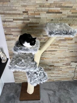 Škrabadlo pro kočky ze dřeva - 4