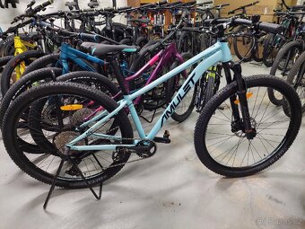 Amulet night cat 4.0. - 4