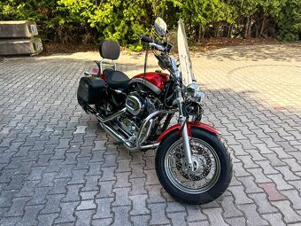 Harley Davidson XL 1200C - 4