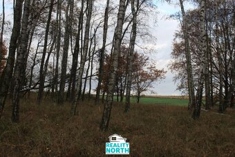 Prodej podílu 49/100 ostatní pozemky, 11 599 m2 - Stráž pod - 4