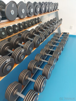 Profi jednoručky 2 - 100kg - 4