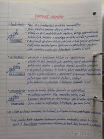 Biologie SŠ výpisky - 4