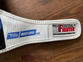 Rukavice Professional Fighter - 4
