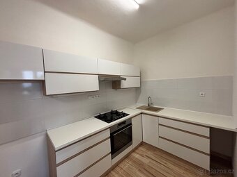 Byt U prvni baterie, 2kk, 50m2, s vychodem na zahradu - 4