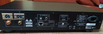 PIONEER N 30 s CASEA LYNX DAC - 4