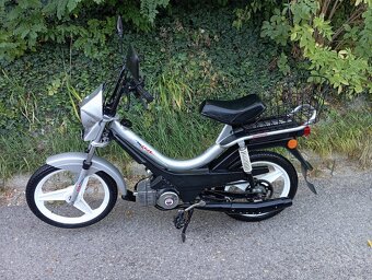 Manet Korado PĚKNÝ - 4