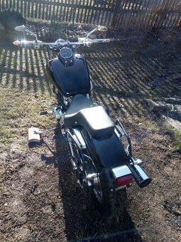 Honda VT 750 DC Black Widow - 4