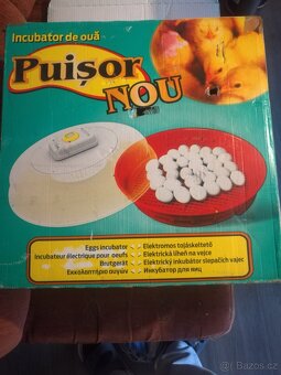 Prodám lihen Puisor Nou - 4