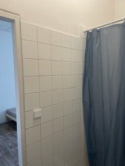 Pronajmu pokoj s vlastním WC a sprchovým koutem - 4