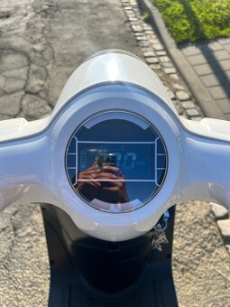 Hecht citis white - 4