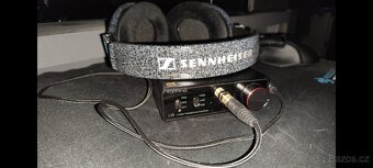 Sennheiser HD 600 Avantgarde + Topping L30 - 4