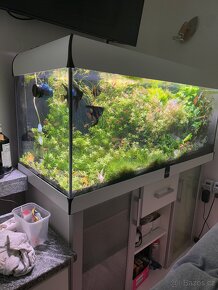 Akvarijní set pouze skříň, poklop, akvárium - 4