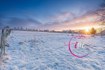 Prodej stavebního pozemku 2651 m2 s příjezdovou cestou 159 m - 4