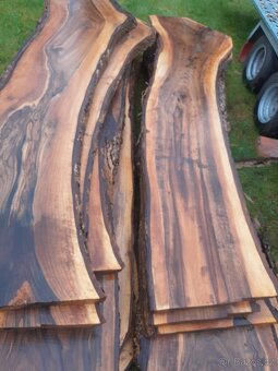 Ořechové fošny - 4